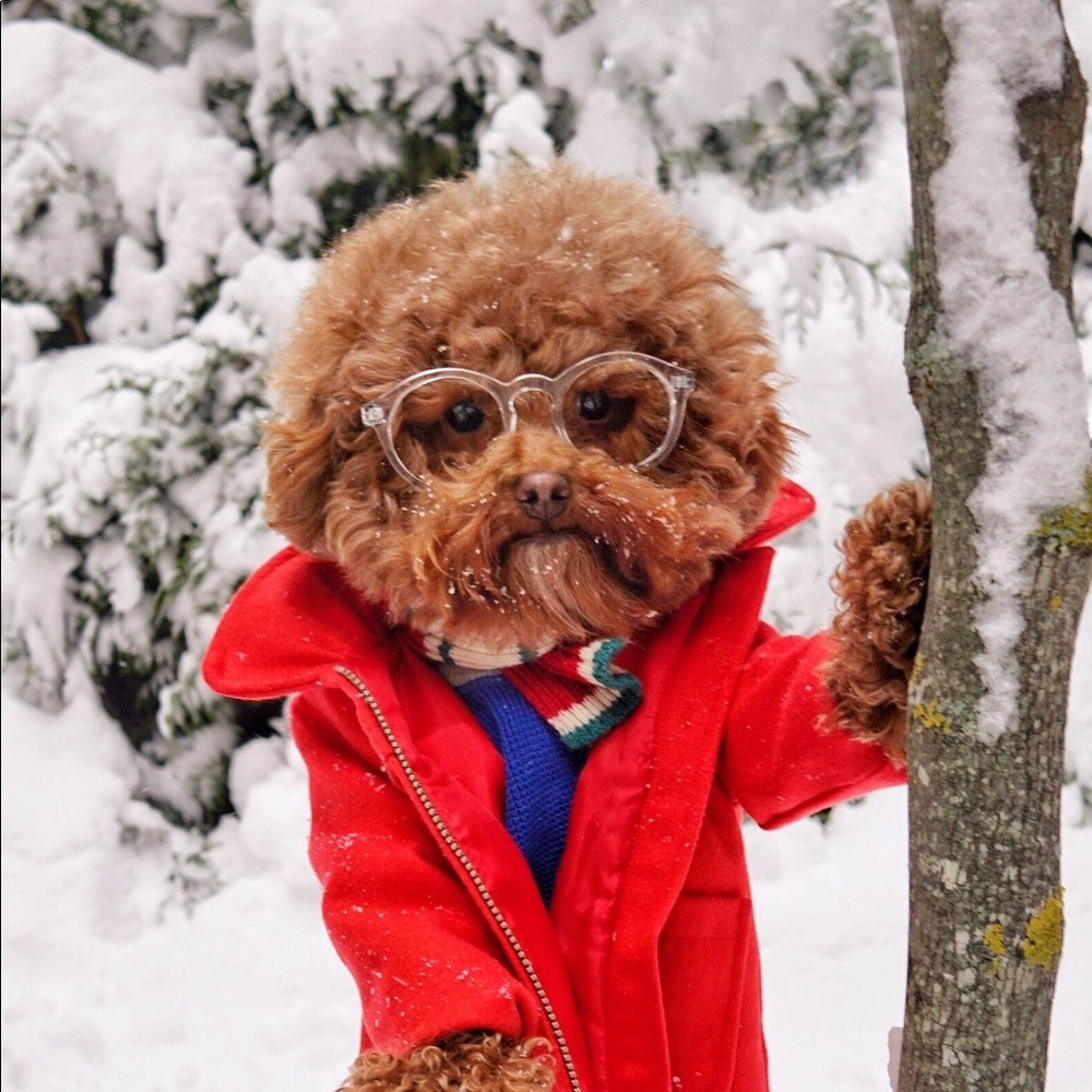 Meet your Posher, Emily